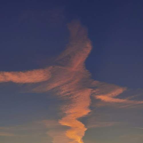 Photo #8270277