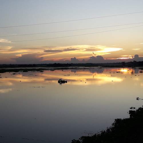 Photo #8270308