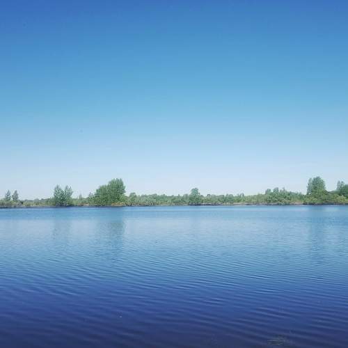 Photo #8270471