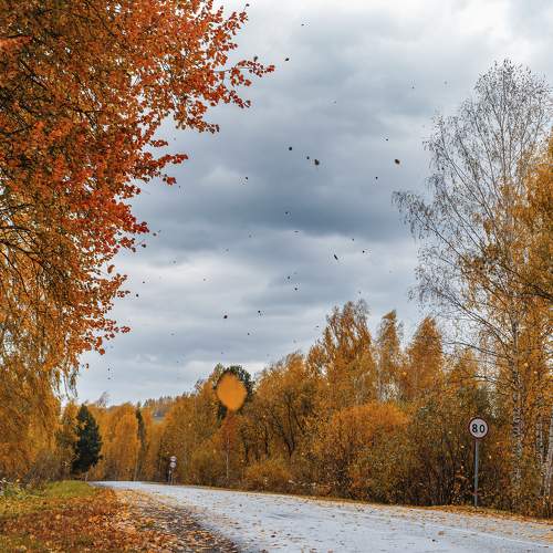 Photo #8270619