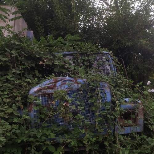 Photo #8270628