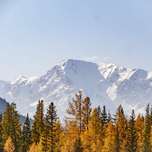 Photo #8270630