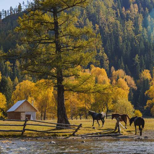 Photo #8270647
