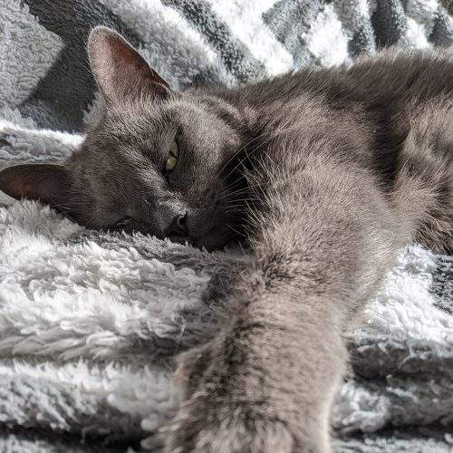 Photo #8270997