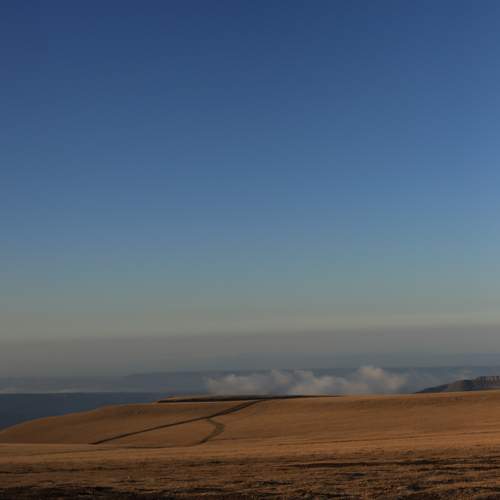 Photo #8271031