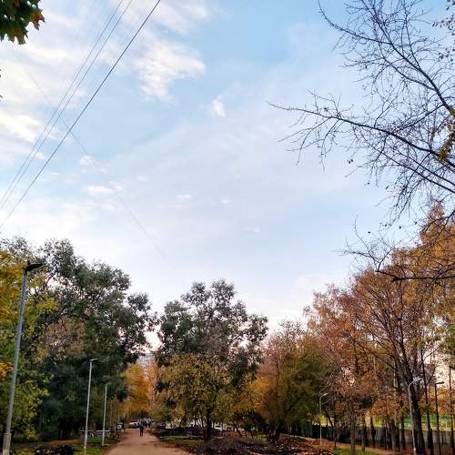 Photo #8271241