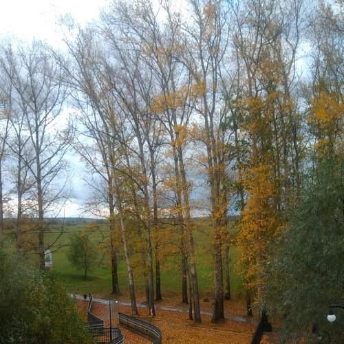 Photo #8271321