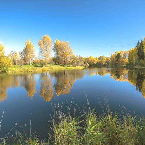 Photo #8271435
