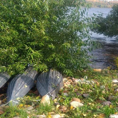 Photo #8271460