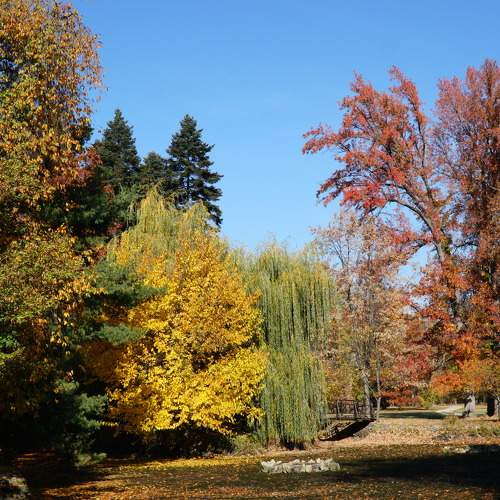 Photo #8271561