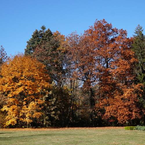 Photo #8271579