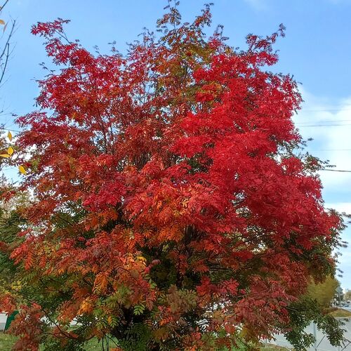 Photo #8271795