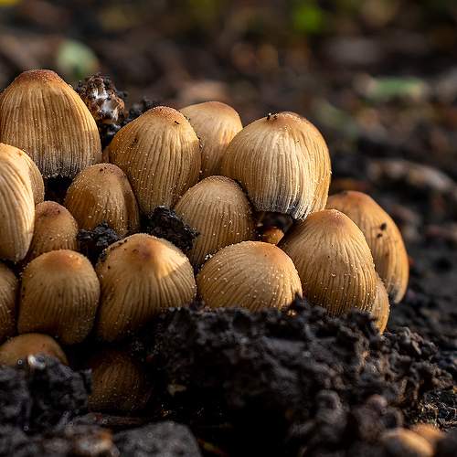 Фотография #8272405