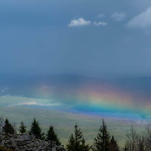 Photo #8272564