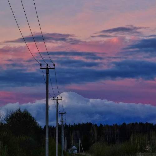 Photo #8272812