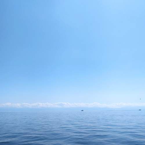 Photo #8273153