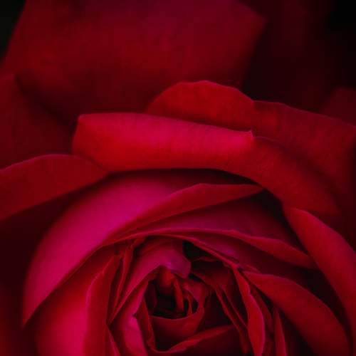 Photo #8273791