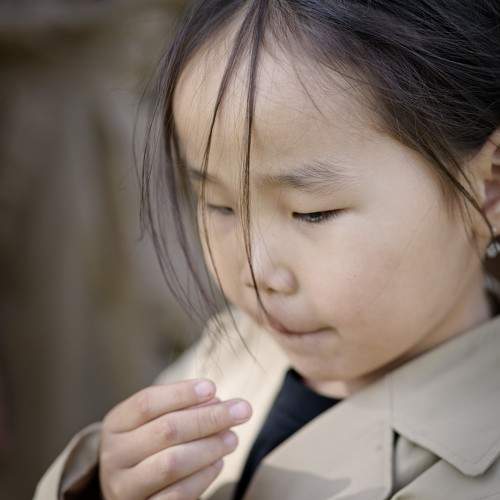 Photo #8273993