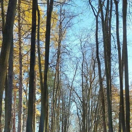 Photo #8274214