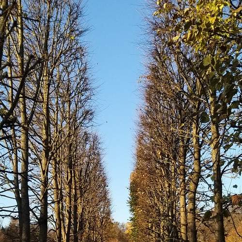 Photo #8274221