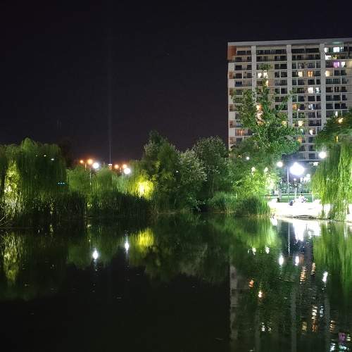 Photo #8274557