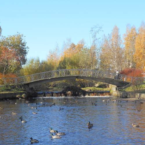 Photo #8274918