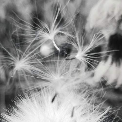 Photo #8274970