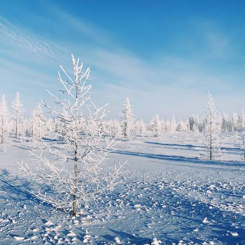 Photo #8275006