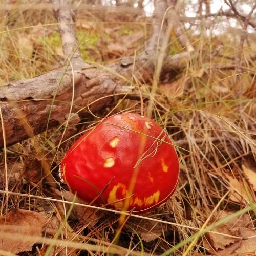 Photo #8275402