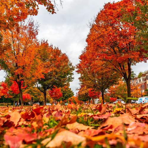 Colorful Autumn