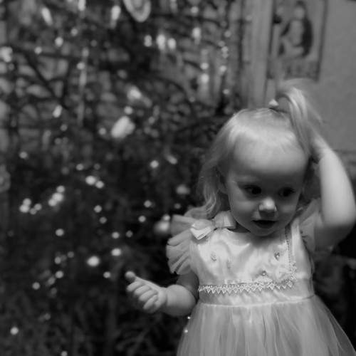 Photo #8275763