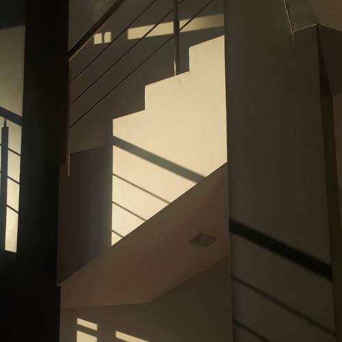 Photo #8276449