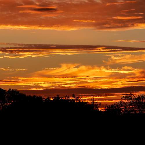 Photo #8276702