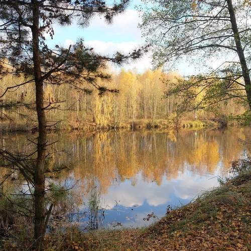 Photo #8277753