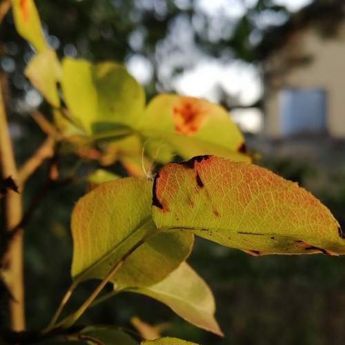 Photo #8277993