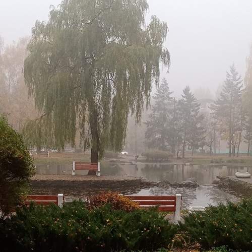 Photo #8278345