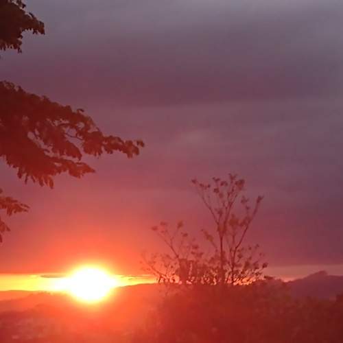 Photo #8278431