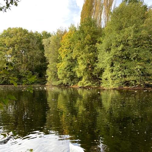 Photo #8278613