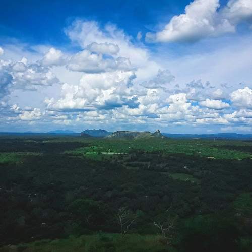 Photo #8278672