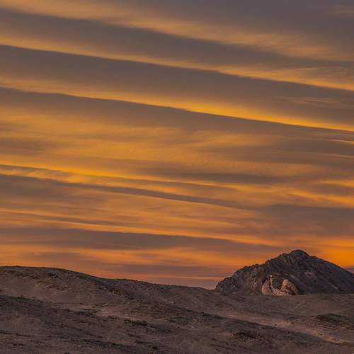Photo #8278811