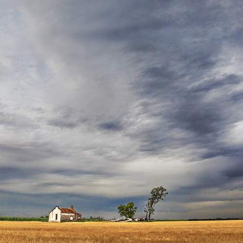 Photo #8278812