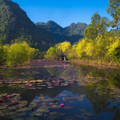 Photo #8278932