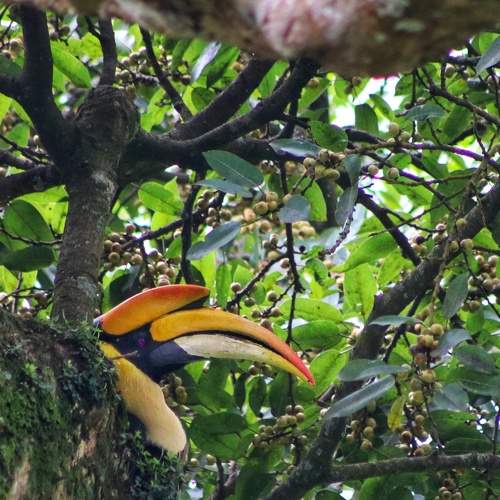 Photo #8278936