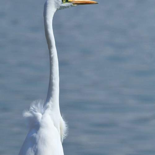 Photo #8278959