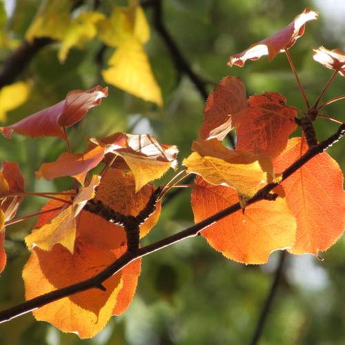 Photo #8279408