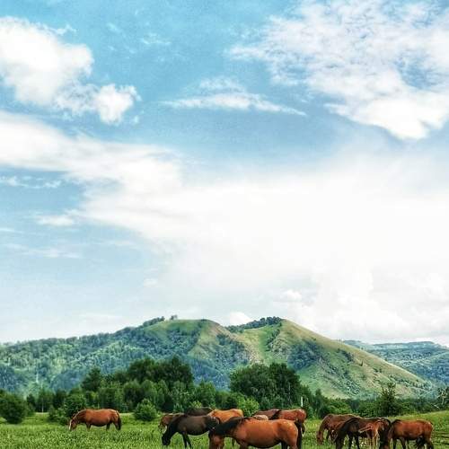 Photo #8279477