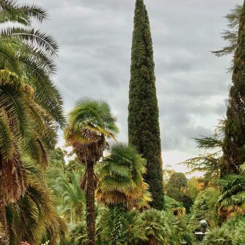 Photo #8279564