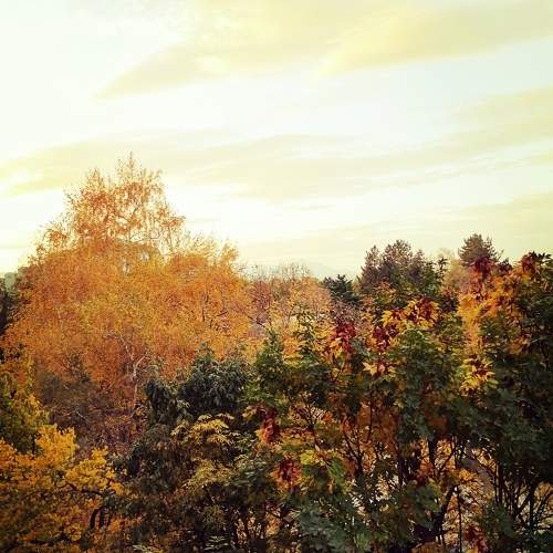 Photo #8279660