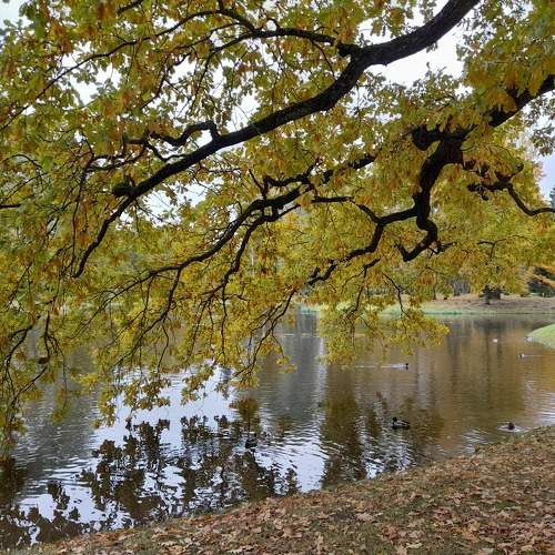Photo #8280440