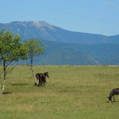 Photo #8280475